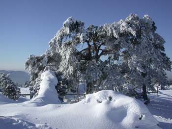 DSCN5969.jpg