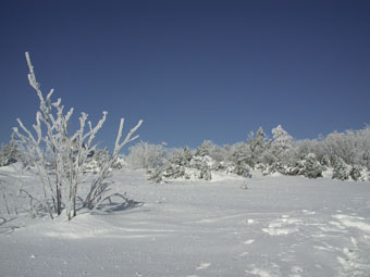 DSCN5944.jpg