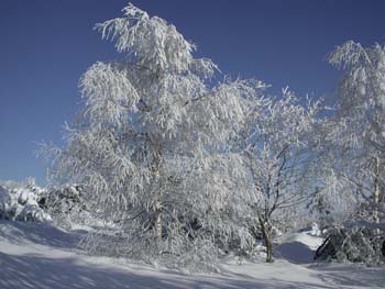DSCN5950.jpg