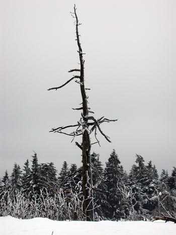 DSCN5927.jpg