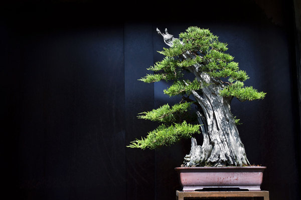 130707_49web.jpg