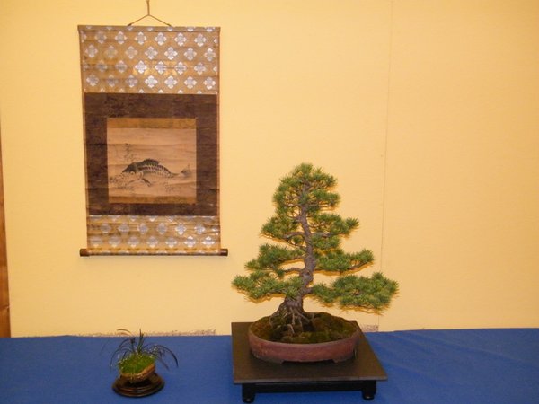 DSCF1588.JPG