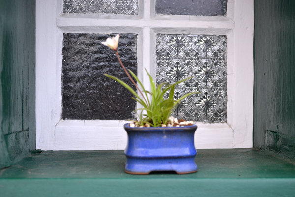 Rodo "Pearl White" Pot Japan