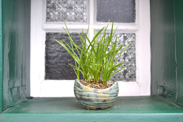 Rodo "Claret" Pot ?