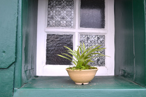 Rodo "Stella" Pot Bryan Albright