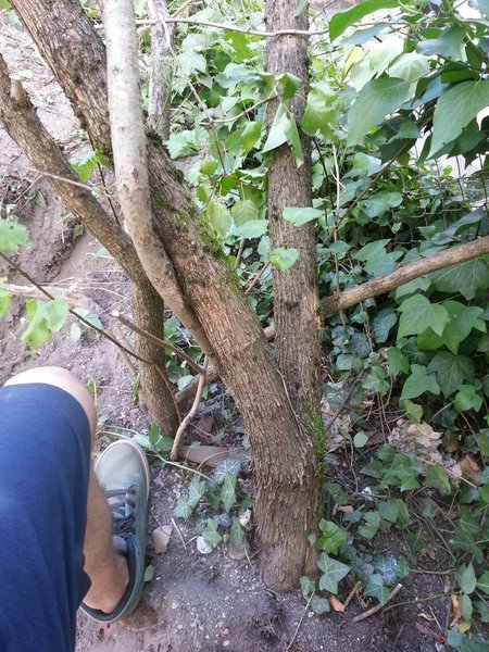 comp_20130727_154646.jpg