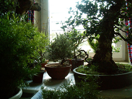 Winter-2006-1.jpg