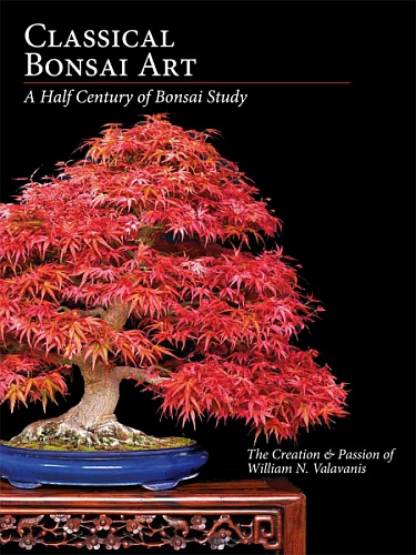 Clasical_Bonsai_Art.jpg