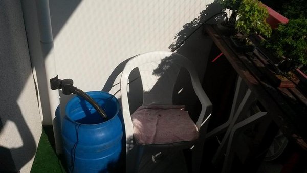 regendieb klaut regenwasser aus dem fallrohr                   <br /> in der tonne ist die pumpe