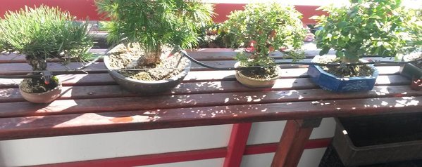 20130802_165154.jpg
