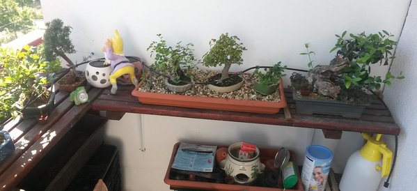 20130802_165208.jpg