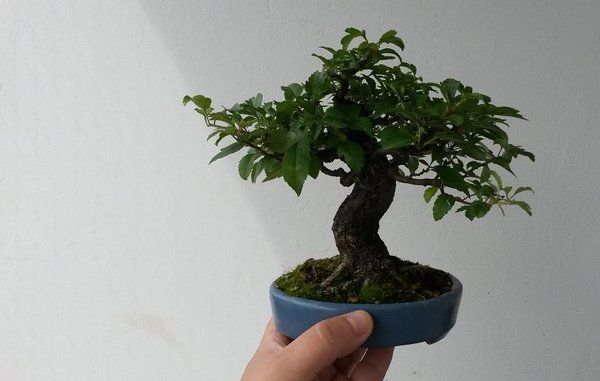 20130809_104748.jpg