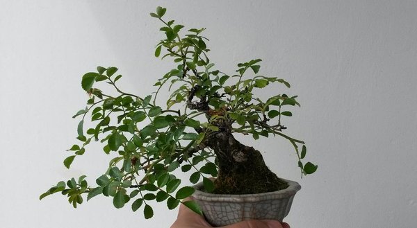 20130809_104931.jpg