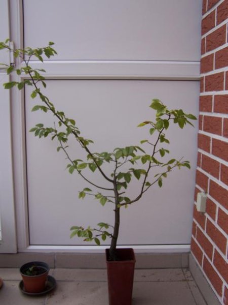 K640_100_4108.JPG