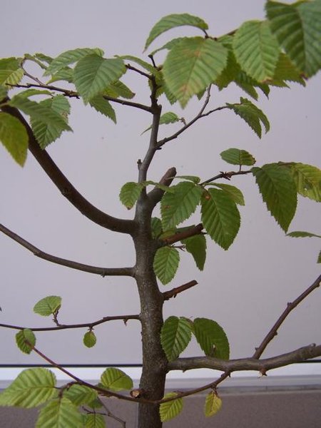 K640_100_4109.JPG