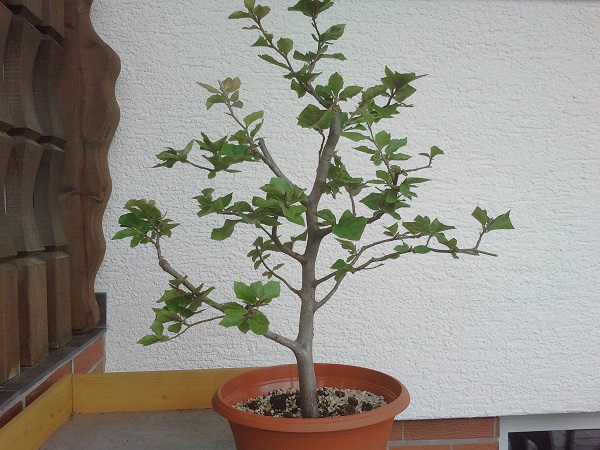 2013-08-09 14.09.44.jpg
