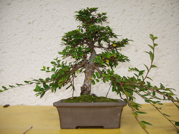 Oktober 2009