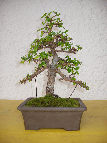 März 2010