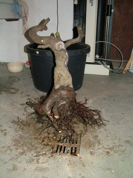 Bild 172.jpg