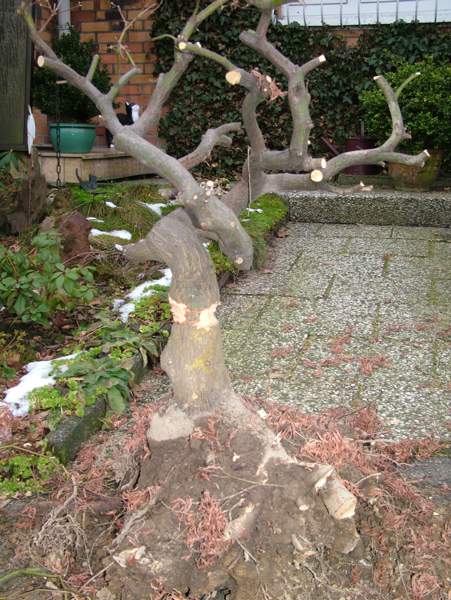 Bild 171.jpg