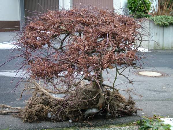 Bild 160.jpg