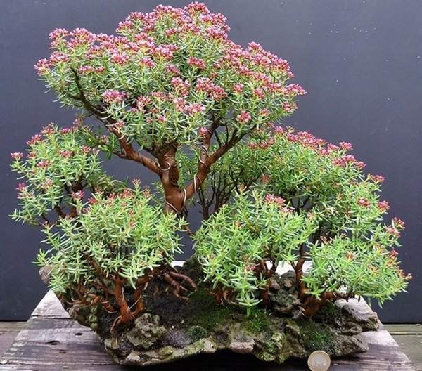 P1050088.JPG