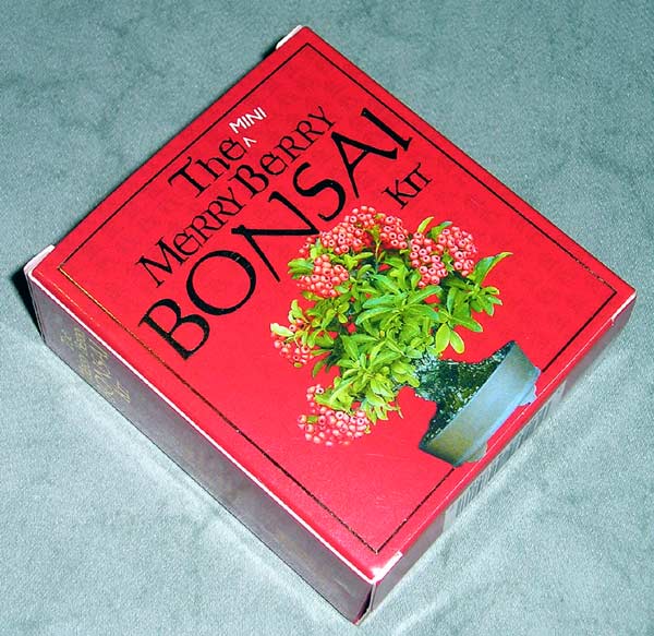 Merry-Berry-Bonsai-Kit-00.jpg