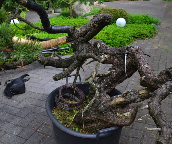 3-small.JPG