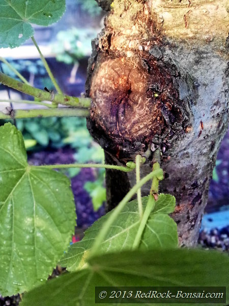 4blog-2013-08-16_19-54-10.jpg