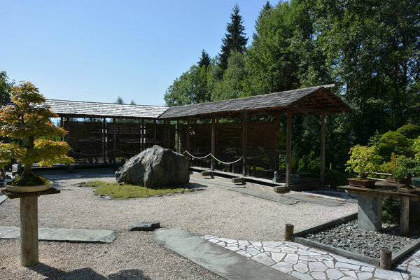DSC_0375.jpg