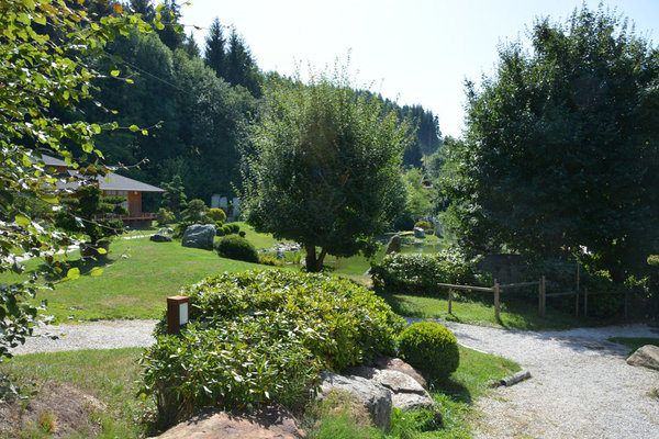 DSC_0383.jpg