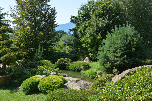 DSC_0384.jpg
