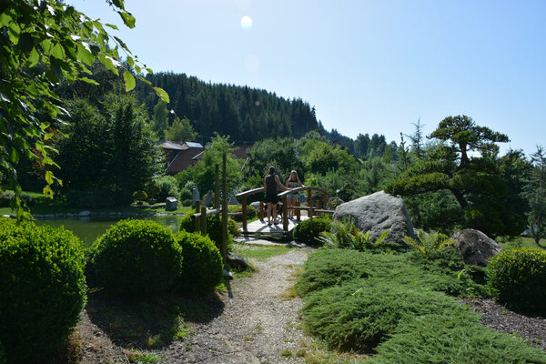 DSC_0387.jpg