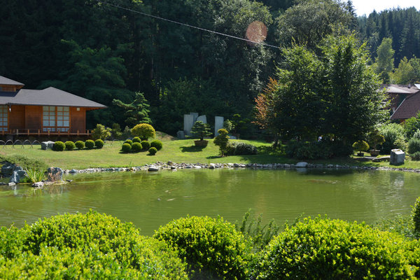 DSC_0389.jpg