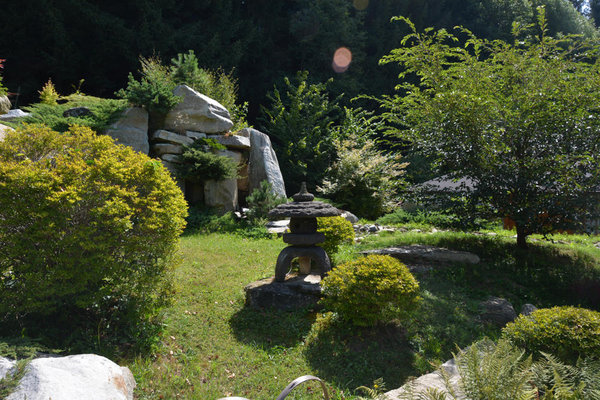 DSC_0401.jpg