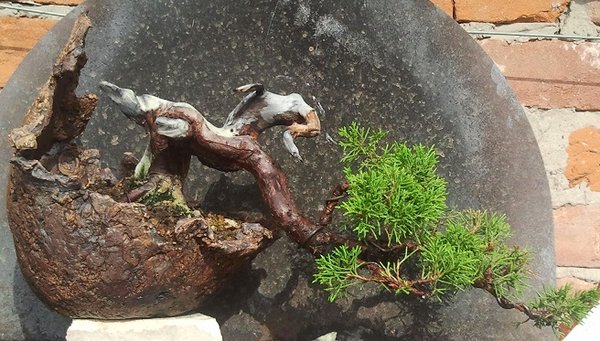 2013-08-24 17.14.42.jpg