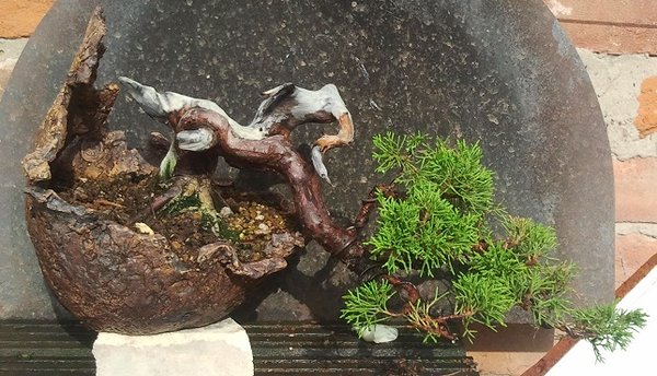 2013-08-24 17.14.50.jpg
