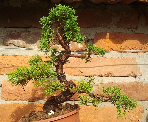 2013-08-24 17.16.25.jpg