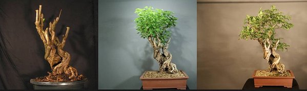 Nr 2 2010 - 2013.jpg