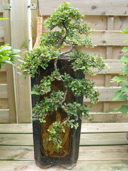 9-28.05.11.JPG