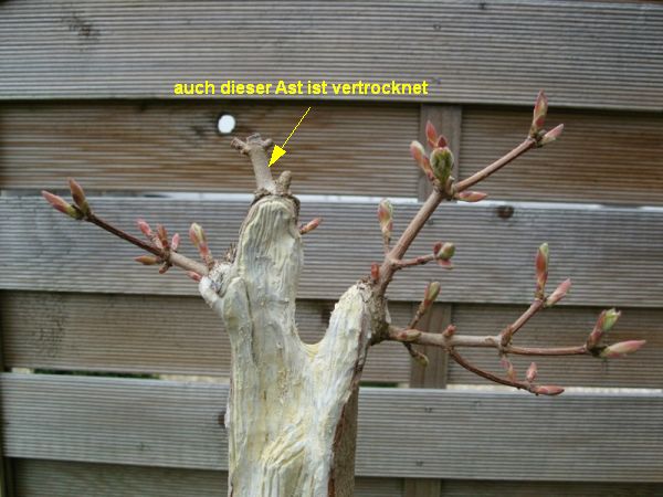 8-30.03.12.JPG