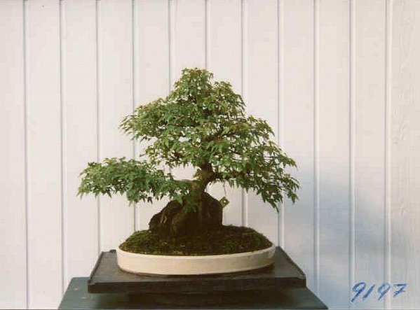 September 1997
