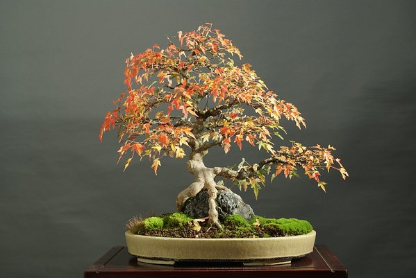 Herbst 2012
