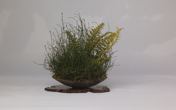 Kusamono_Odoridori_Gruentonpot.jpg