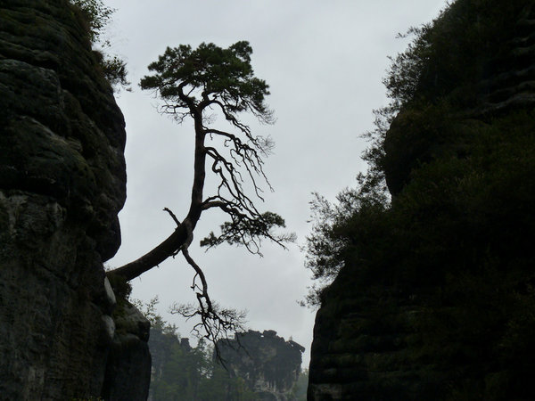 P1180553.JPG