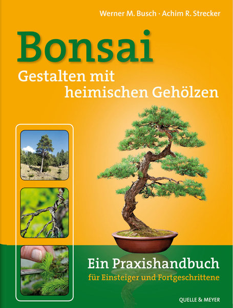Buchtitelbild.jpg