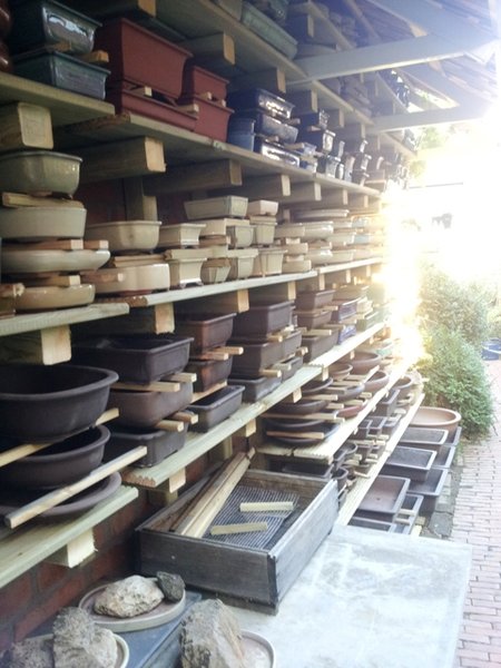 20130906_080847.jpg