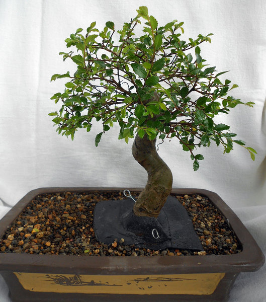 ChinaDSCN0317.JPG