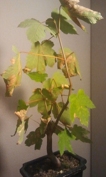 2013-09-19%2020.50.16.jpg