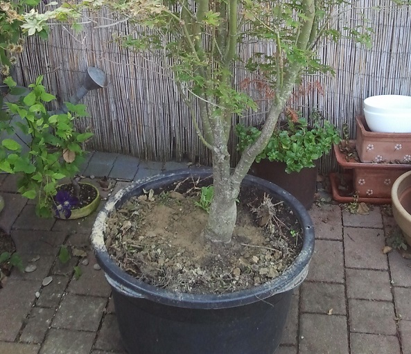 2013-09-23 13.42.13.jpg